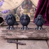 Three Wise Ravens 8.7cm Ravens De retour en stock