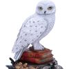 Harry Potter Hedwig Figurine 22cm Fantasy De retour en stock