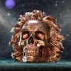 The Theory of Relativity 21cm Skulls Flash Sale Skulls & Dark