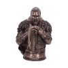 Assassin's Creed Valhalla Eivor Bust (Bronze) 31cm Gaming Flash Sale Licensed