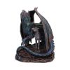Protector of Magick (LP) Bronze 17.5cm Dragons De retour en stock