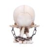 The Reckoning 14.5cm Skulls Stock Release Spring - Week 1
