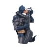 Batman & Catwoman Bust 30cm Comic Characters Super Dads