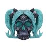 Drop Dead Gorgeous - Cute and Cosmic 19.5cm Skulls De retour en stock