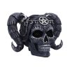 Drop Dead Gorgeous - Solve and Coagula 20.5cm Skulls De retour en stock