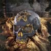 Divine Demise 15.5cm Skulls Stock Release Spring - Week 1