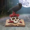 Heartaches Reflection 17cm Ravens Gifts Under £100