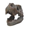 Tyrannosaurus Rex Skull Freestanding 16cm Dinosaurs De retour en stock