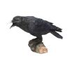 Raven's Call 20cm Ravens Statues Medium (15cm to 30cm)
