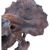 Triceratops Head 23cm Dinosaurs Out Of Stock