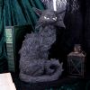 Salem 32.5cm Cats De retour en stock