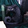 Spite 25.5cm Cats Gifts Under £100