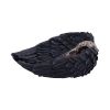 Edgar's Raven Trinket Holder 17cm Ravens De retour en stock