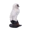 Soren 15.3cm Owls Articles en Vente