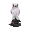 Soren 15.3cm Owls Articles en Vente