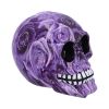 Purple Romance (Medium) 11cm (Pack of 6) Skulls Gifts Under £100