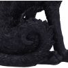 Salem (Small) 19.6cm Cats Gifts Under £100