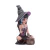 Pruedence 15cm Witches Gifts Under £100