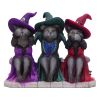 Three Wise Witchy Kittys 15.3cm Cats De retour en stock