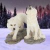 Before the Chase (Set of 2) 9.8cm Wolves Out Of Stock