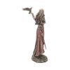 Morrigan and Crow 28cm History and Mythology RRP Under 100