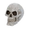 Priceless Grin 16cm Skulls De retour en stock