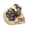 Goggles 15cm Skulls Crânes