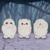Three Wise Owls 8cm Owls RRP Under 20