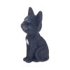 Count Kitty Cats Gifts Under £100