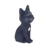Count Kitty Cats Gifts Under £100