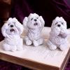 Three Wise Westies 8cm Dogs De retour en stock
