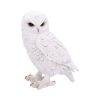 Snowy Watch Large 20cm Owls Figurines