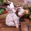 When Pigs Fly 15.5cm Animals Gifts Under £100
