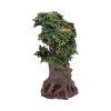Forest Flame 21.5cm Tree Spirits Roll Back Offer