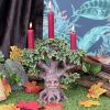 Forest Flame 21.5cm Tree Spirits Roll Back Offer
