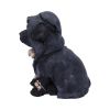 Reapers Canine 17cm Dogs Gifts Under £100