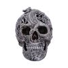 Cranial Drakos (Silver) 19.5cm Skulls Crânes