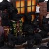 The Witches Litter 24.8cm (Display of 36) Cats Out Of Stock