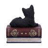 Salems Spells 11.7cm Cats De retour en stock