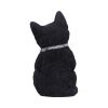 Cattitude 16.5cm Cats Gifts Under £100