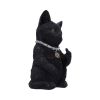 Cattitude 16.5cm Cats Gifts Under £100