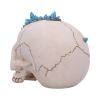 Crystal Cave Blue 16.5cm Skulls Last Chance to Buy
