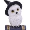 Avian Spell (Blue) 12.5cm Owls Gifts Under £100