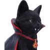 Count Catula 15.5cm Cats RRP Under 20