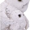 Feathered Guide 13.5cm Owls Gifts Under £100