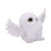 Snowy Delight 20.5cm Owls Gifts Under £100