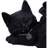 Cat Nap 18cm Cats Gifts Under £100