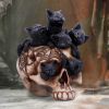 Cranial Litter 14cm Cats De retour en stock