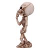 Skeletal Wish 18.5cm Skeletons De retour en stock