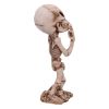 Skeletal Wish 18.5cm Skeletons Gifts Under £100